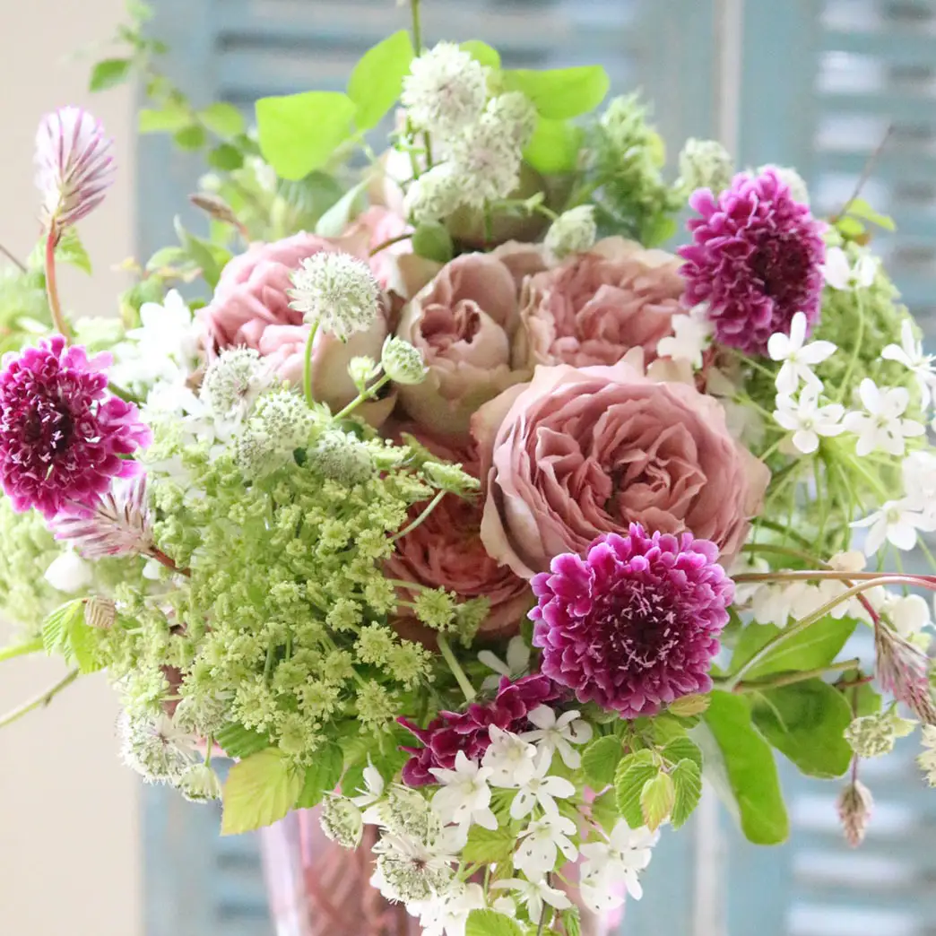 季節の花束(生花)の定期便・Mサイズ(6か月)〈 花 定期便 生花 お花 記念日 誕生日 お祝い ギフト プレゼント インテリア 自宅用 全国発送 送料無料 冷蔵 そのまま飾れる 花器なし おすすめ かわいい ※お届け日指定不可 〉