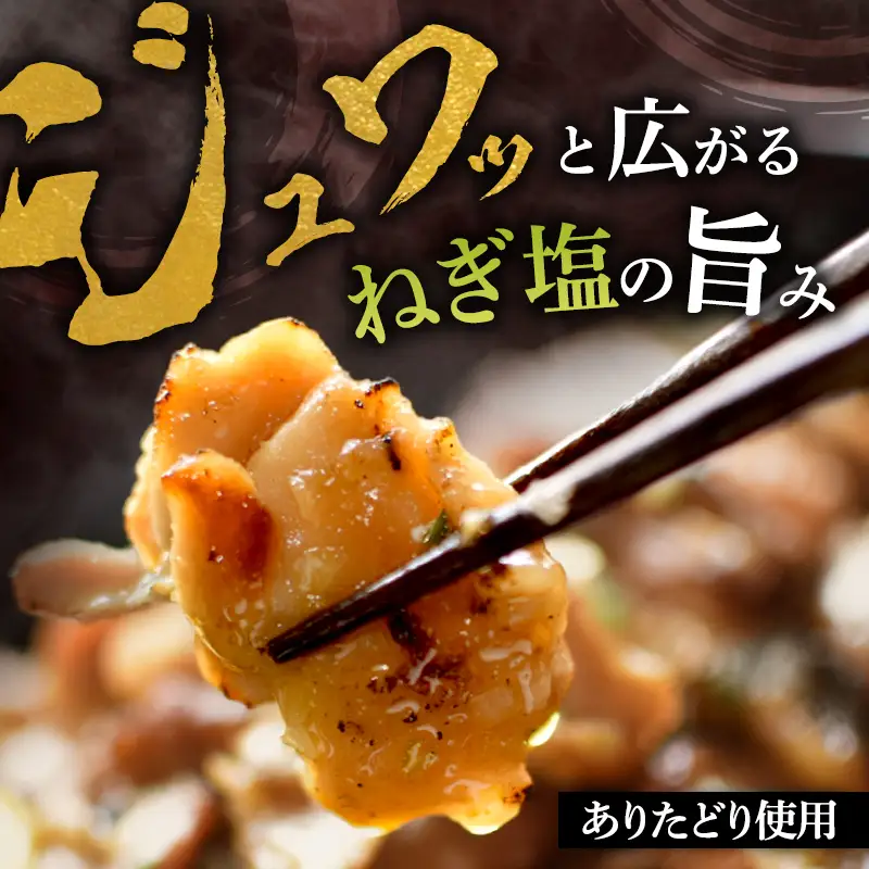 焼くだけ絶品！ありたどり旨み引き出すねぎ塩仕込み (500g×2P) 鶏肉 鶏 肉 お肉 ※配送不可:沖縄県、離島