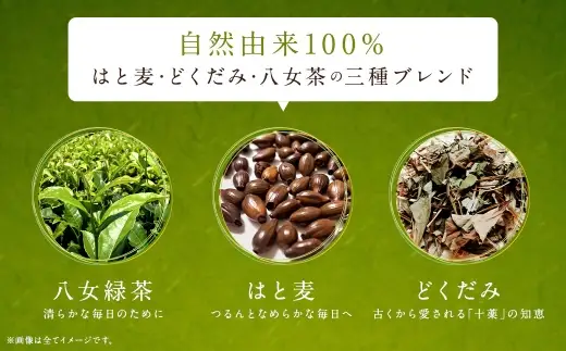 どくどくするりん八女茶 （ 森のこかげ ） 3g × 100パック はと麦 どくだみ 八女茶 ブレンド 美容 ポリフェノール ミネラル お茶 茶葉 飲料 常温 健康茶