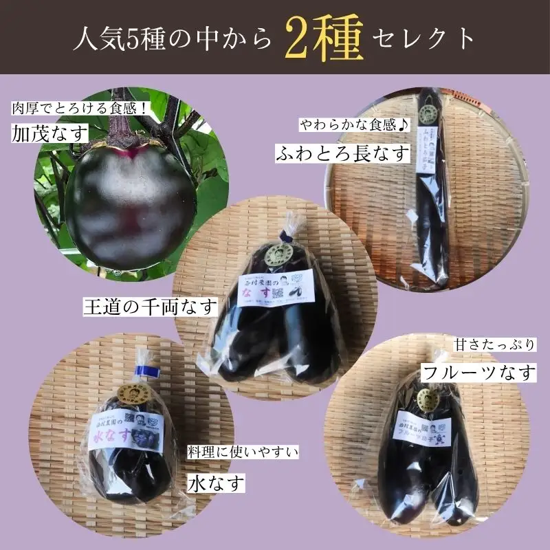 なす 2種類 おまかせ 5本（賀茂なす・水なす・フルーツなす・千両なす・ふわとろ長なす）ナス 京都
