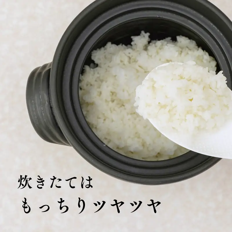 《令和8年度産 先行予約》【数量・期間限定】井野農園のミルキークイーン 米 ご飯 ごはん