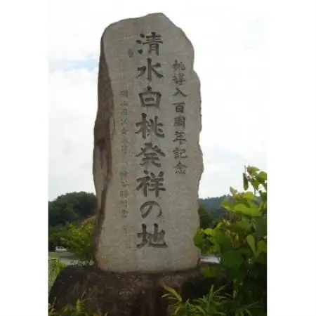 岡山県産　清水白桃　5～6玉入り　1.5キロ 化粧箱入り【配送不可地域：離島・北海道・沖縄県・東北・関東・信越、北陸】【1726281】