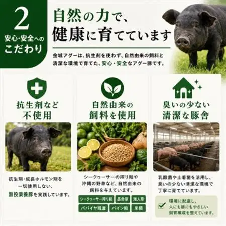 金城ミートのバーベキューセット 3人前(県産和牛・アグー豚・鶏・ウインナー・野菜付き)【配送不可地域：離島】【1731172】