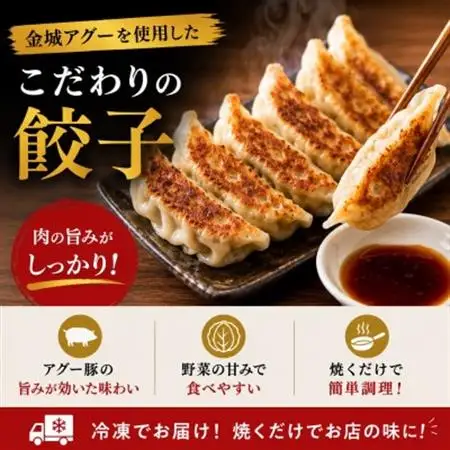 【琉球在来種・無投薬養豚】金城アグーを使用!餃子12個×2P＆ハンバーグ120g×4個【配送不可地域：離島】【1731173】