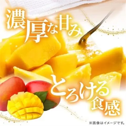 【2026年6月下旬から順次発送】今帰仁産の特選アップルマンゴー1kg(2～3玉)【配送不可地域：離島】【4014732】