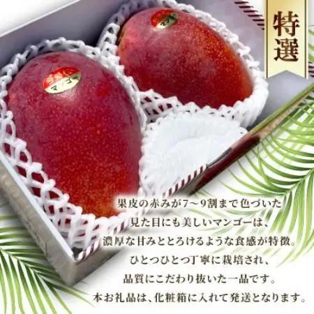 【2026年6月下旬から順次発送】今帰仁産の特選アップルマンゴー2kg(4～5玉)【配送不可地域：離島】【4014733】