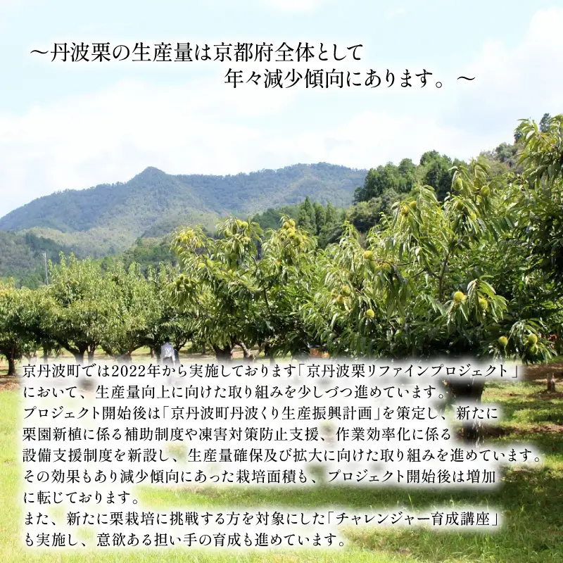 【返礼品なし】 京丹波栗 応援寄附金 1000000円