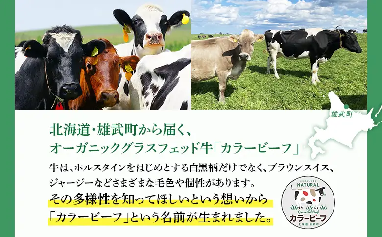 【カラービーフ】黒毛和牛ハンバーグ（150gｘ2個）【01131】
