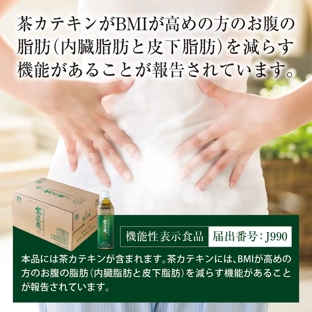 【 機能性表示食品 】 茶匠庵 緑茶ペットボトル 500ml×48本  静岡県 牧之原市 いなば園