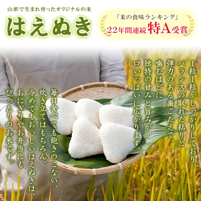【定期便6回】令和8年産 山形産 はえぬき 5kg×6ヶ月(計30kg) FY26-036