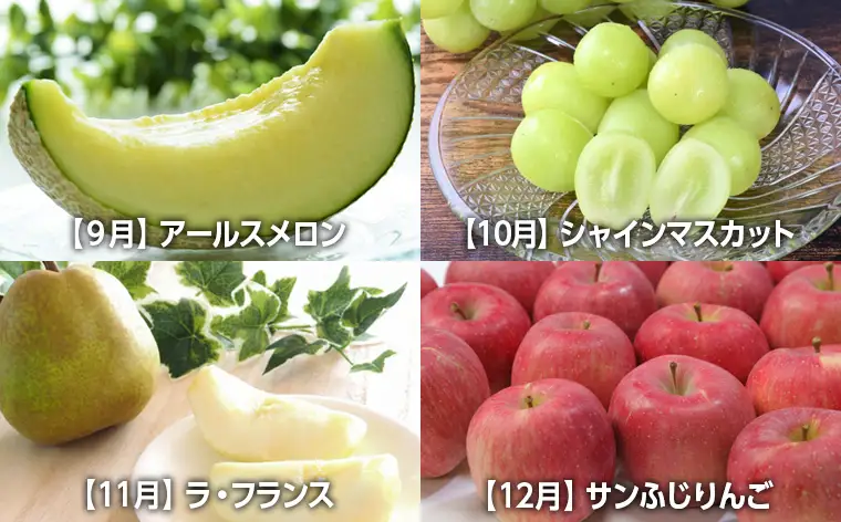 【定期便８回】☆フルーツ王国山形☆山形旬の味覚フルーツよくばり定期便『いちご、佐藤錦、デラウェア、白桃、メロン、シャインマスカット、ラ・フランス、りんご』 FY26-057