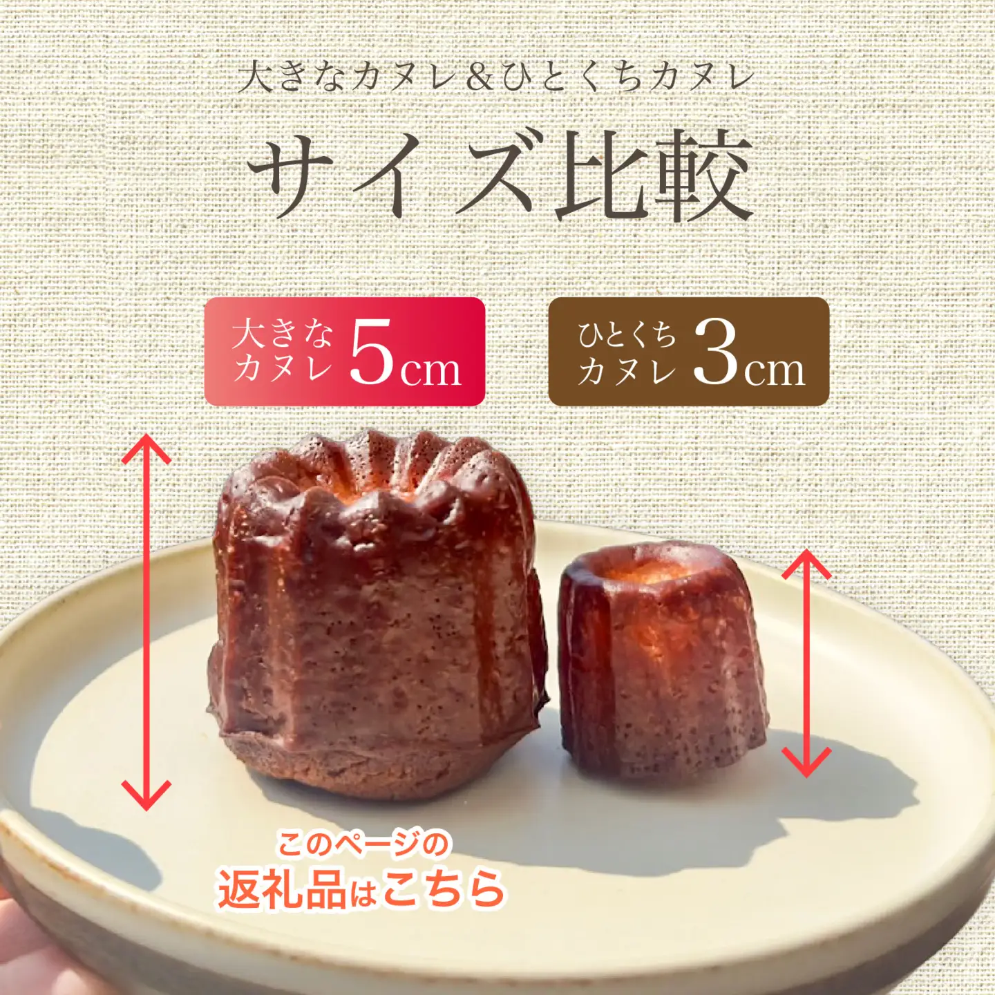 【Penheur】【 訳あり 簡易包装 】大きなカヌレ 6個入り｜ カヌレ 焼き菓子 