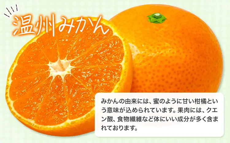 みかん 農園直送 有田の旬の食べごろ みかん 約5kg