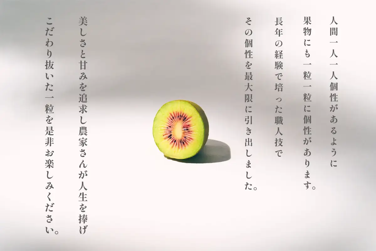 ＜先行予約2026年＞南アルプス市産 完熟レッドキウイ 800g(11~13個入)  ALPAL031