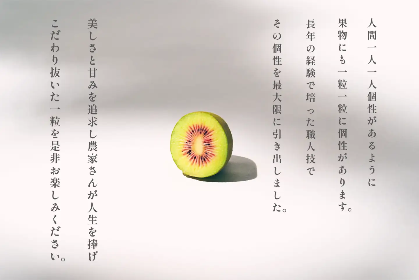 ＜先行予約2026年＞南アルプス市産 完熟レッドキウイ 1.6kg(21~24個入)  ALPAL053
