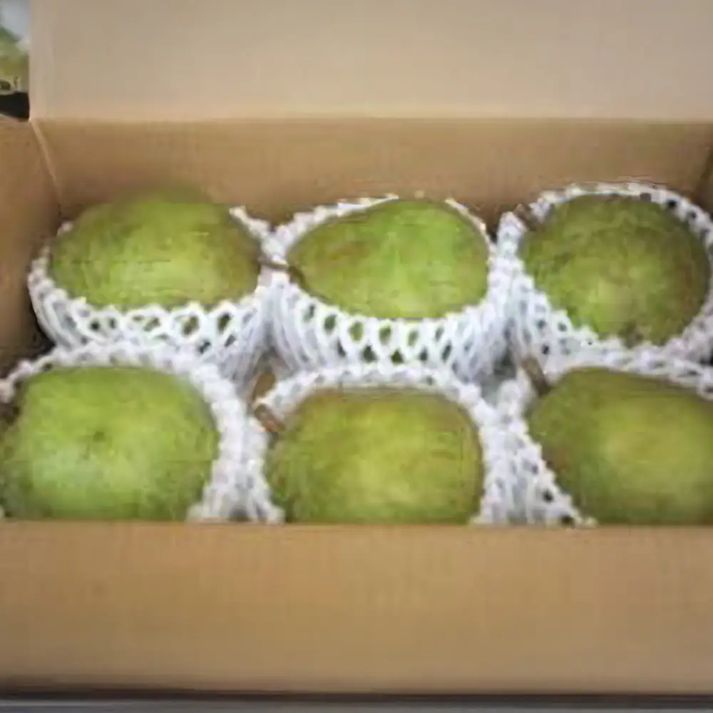 [2026年11月上旬発送]西洋なし（ラ・フランス）2kg（約6玉入り）　【07208-0812】
