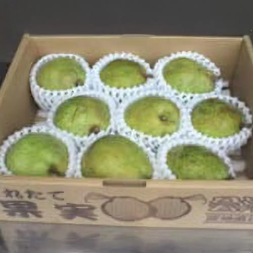 [2026年11月上旬発送]西洋なし（ラ・フランス）3kg（約9玉入り）　【07208-0813】