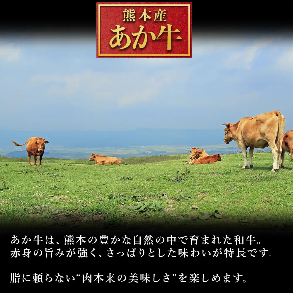 【ふるさと納税】 熊本産 あか牛 切り落とし 500g 肉 訳あり 不揃い 牛肉 国産牛 お肉 切落し 端っこ 小間切れ お取り寄せ 熊本県 水上村