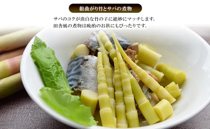 創業明治44年［菓子司 万寿堂］名産缶詰 タケノコ水煮（根曲り竹）5缶セット 秋田 羽後 西馬音内【 缶詰 たけのこ 筍 根曲がり竹 山菜 水煮 保存食 老舗 ギフト 】