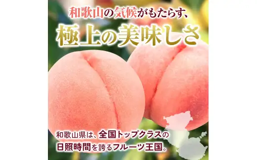 和歌山県産の 桃 11～15個(4kg) / もも モモ フルーツ 果物  厳選 甘い ※2026年7月上旬～8月上旬発送 ※北海道・沖縄・離島配送不可  【eiw501-momo-4】