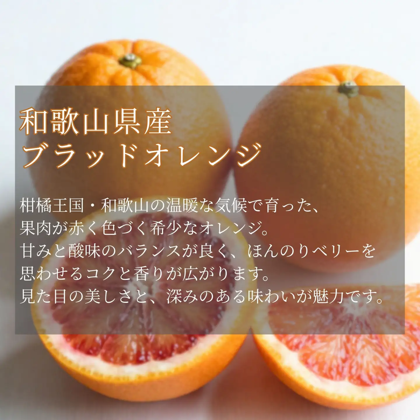 和歌山 有田 ブラッドオレンジ モロ 5kg