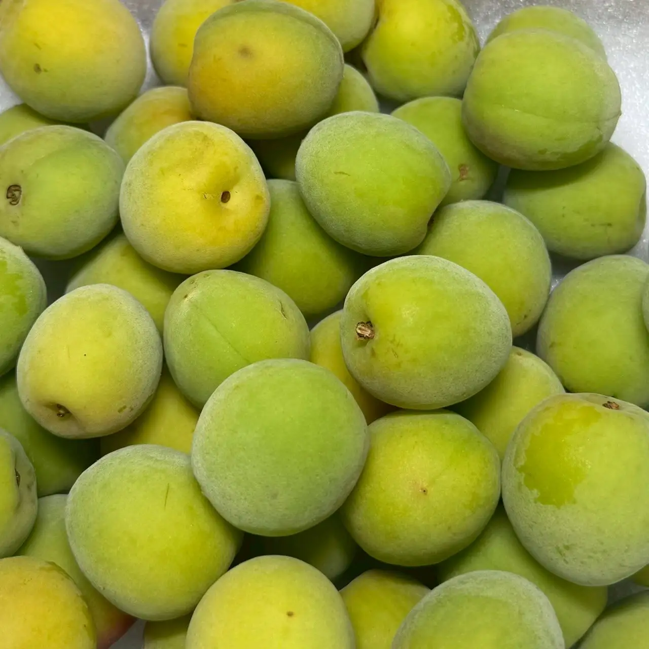 青梅 南高梅 1kg