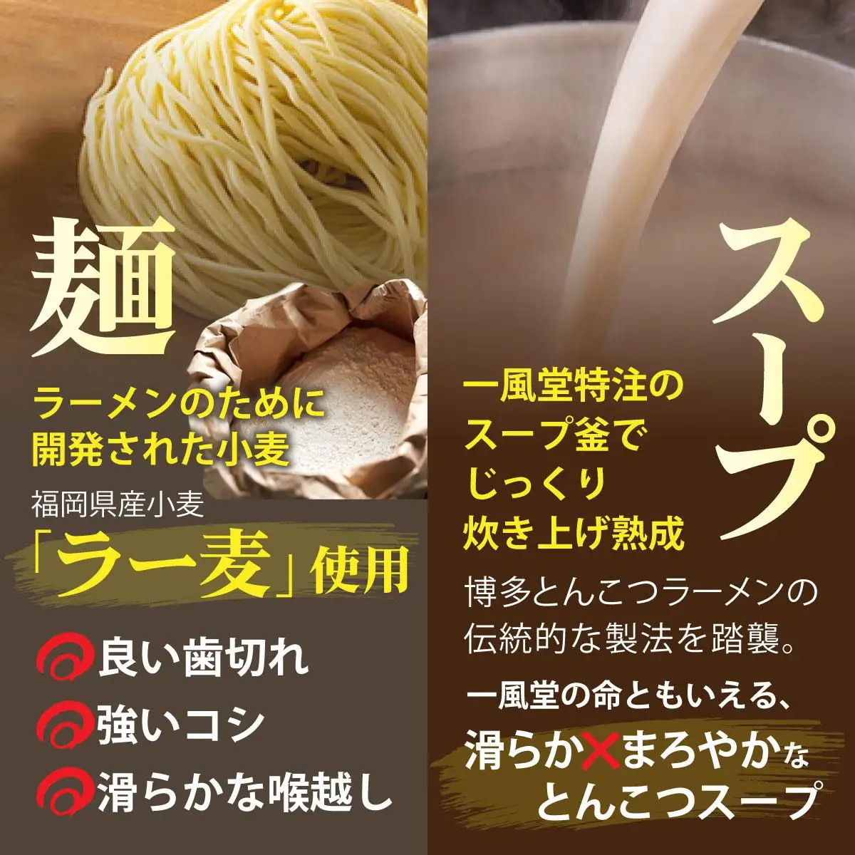 福岡県産 ラー麦使用 現地でたべたい！ 「一風堂」白丸 ラー麦麺セット（ホットもやしソース付き）16食（8食×2）|博多ラーメン 豚骨ラーメン とんこつラーメン 豚骨スープ 豚骨 麺 らーめん 福岡県 那珂川市