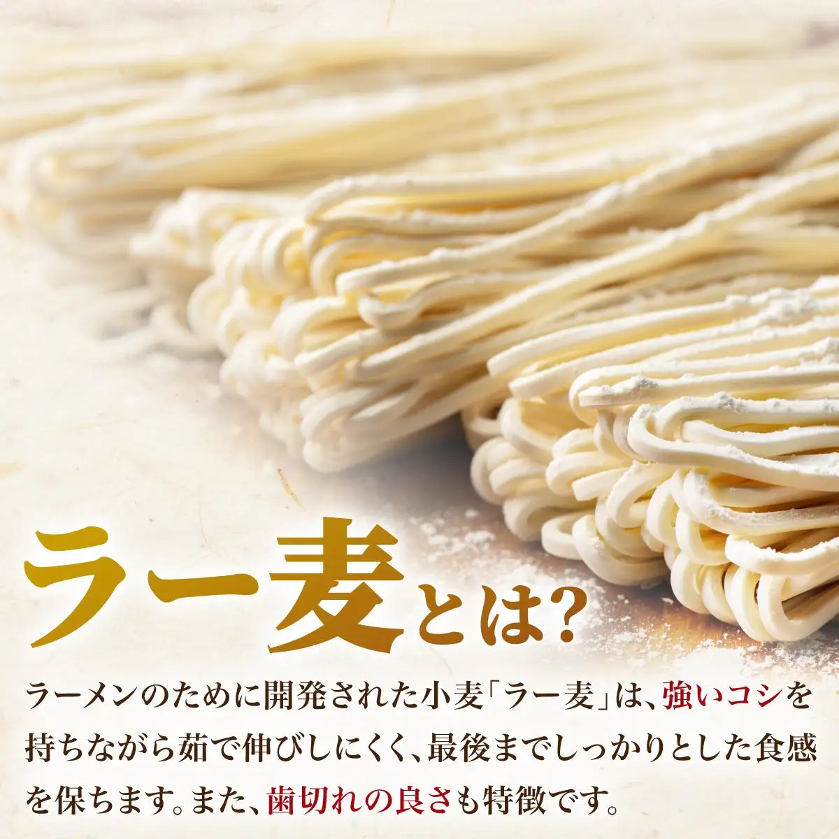 福岡県産ラー麦100％使用！博多グルメ代表とんこつラーメン（5食分）