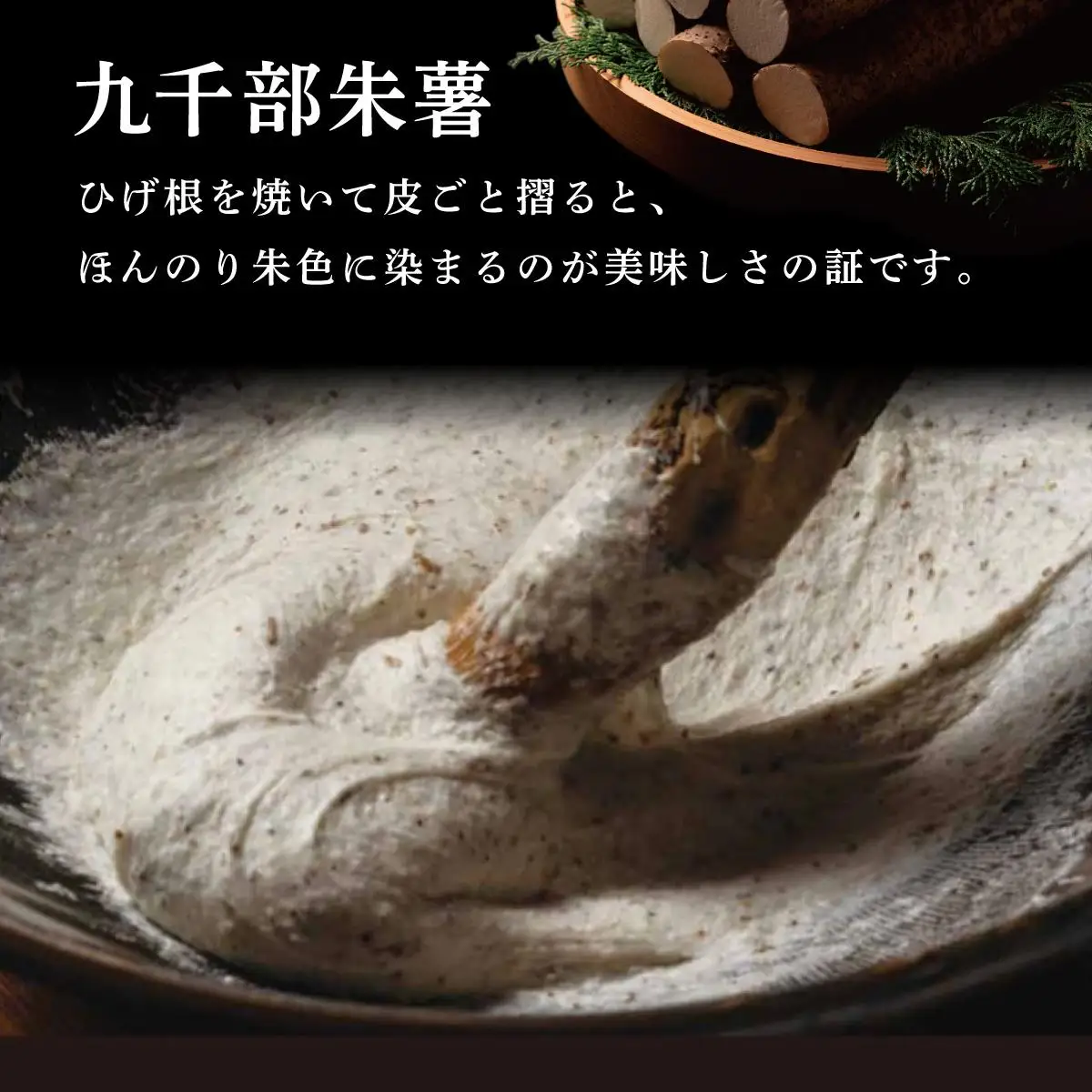 【先行予約】自然薯「九千部朱薯」600g～650g（2本）