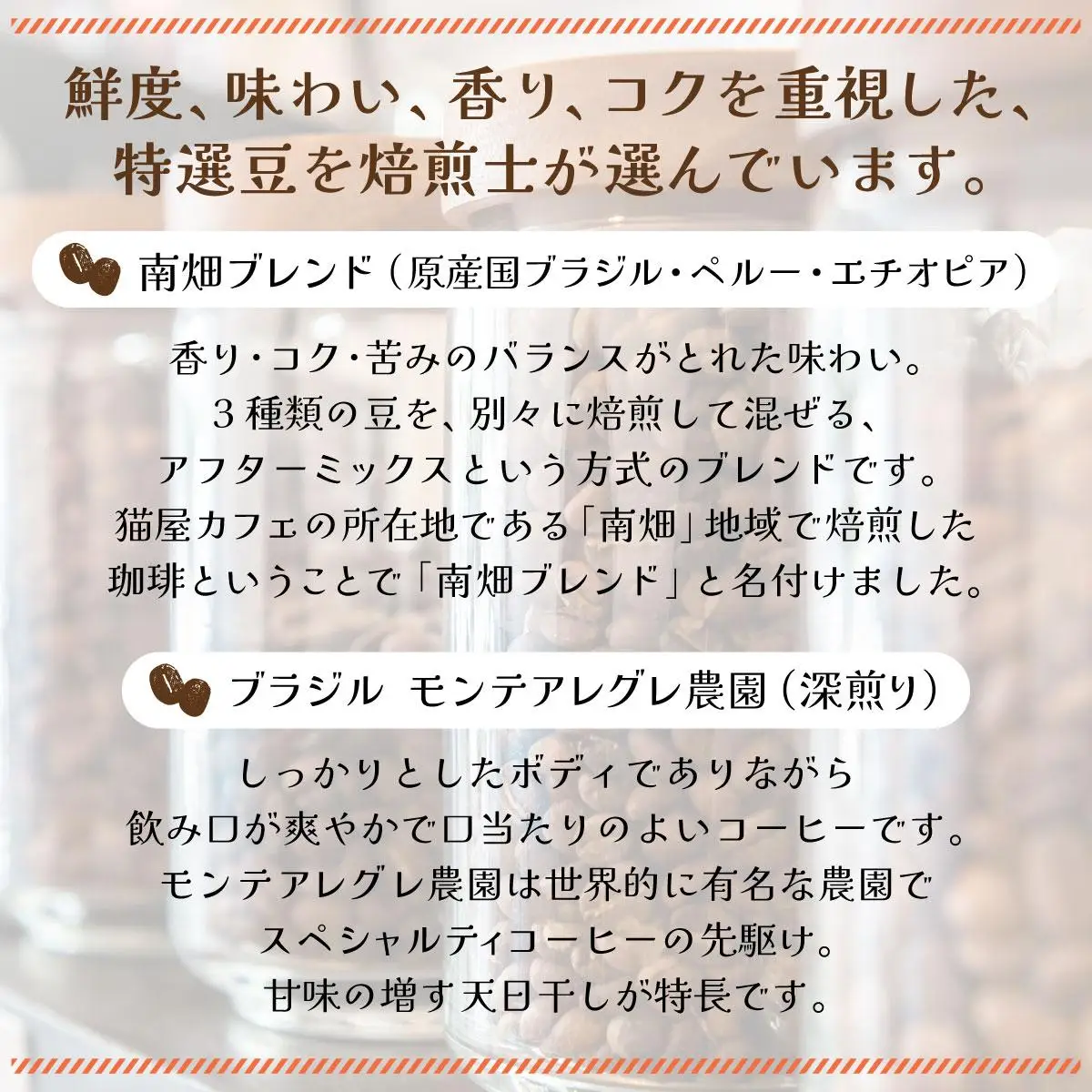 申込後に自家焙煎！コーヒー ギフトセット 【豆】 計500g ブレンド＆ブラジル（モンテ アレグレ農園）