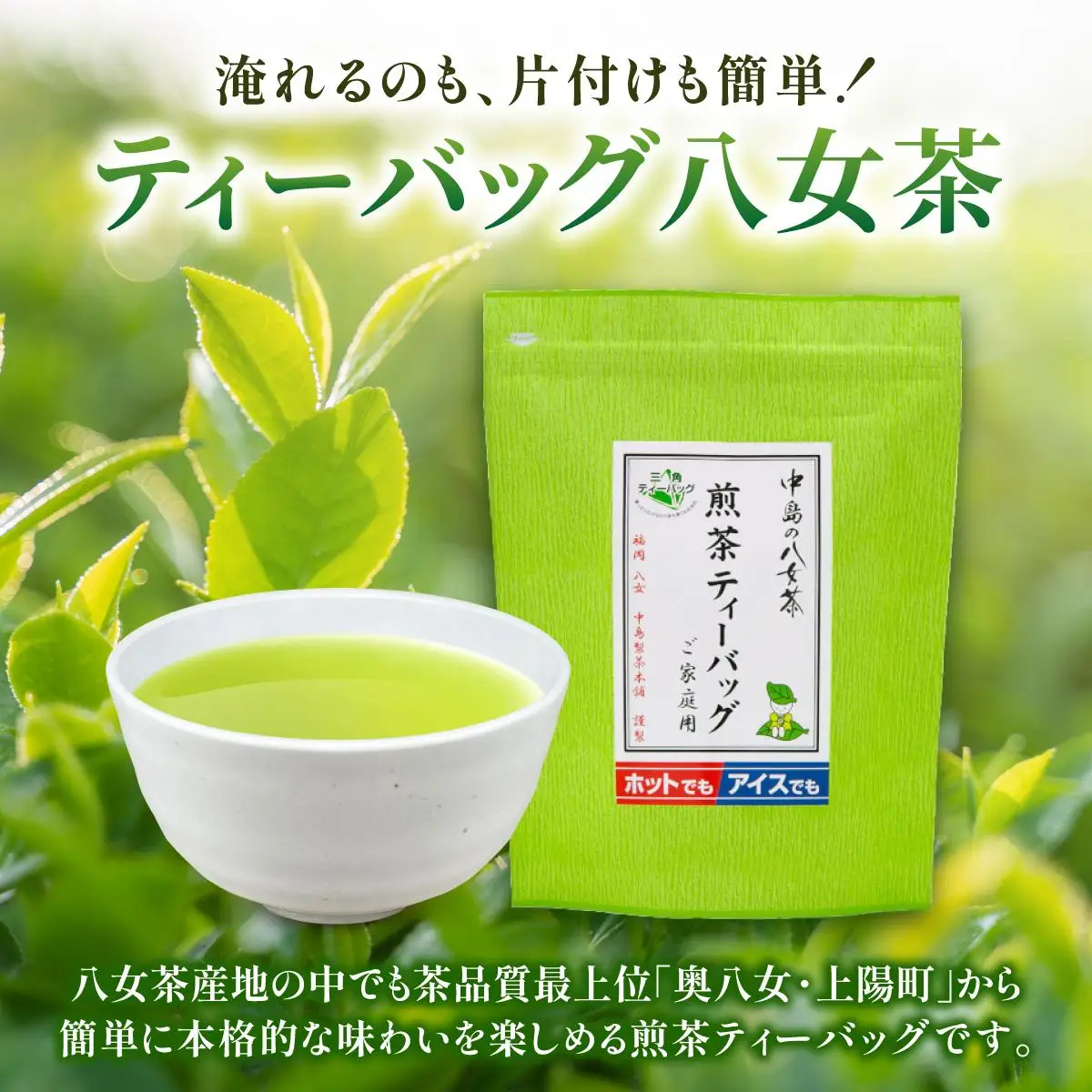 産地直送！八女茶 中島製茶本舗 煎茶 ティーバッグ 100パック