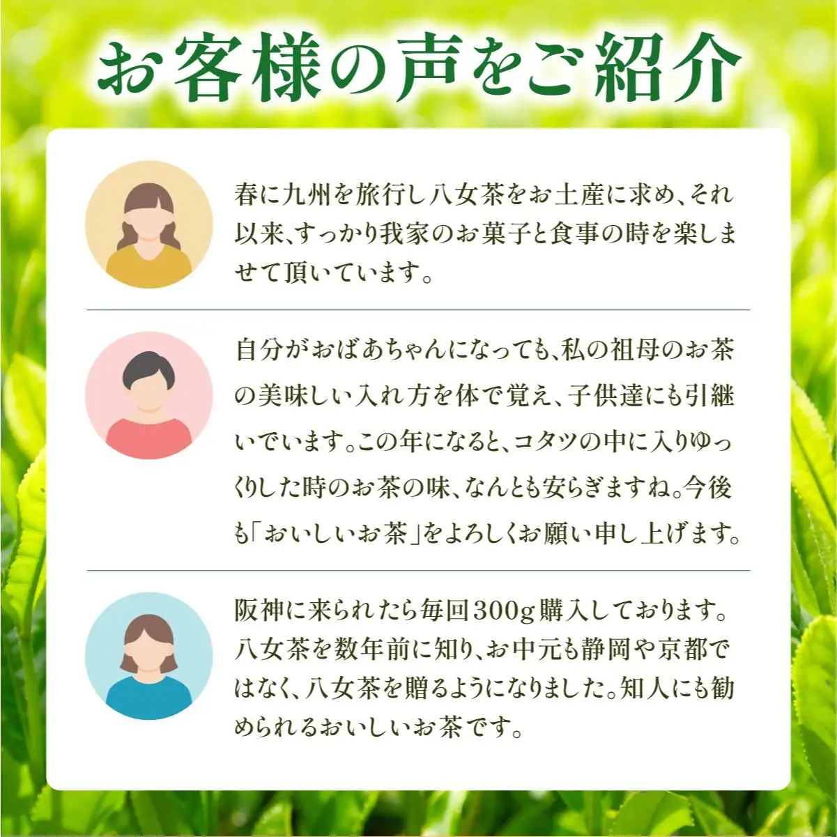 産地直送！八女茶 中島製茶本舗 八女茶 深蒸し 上煎茶 200g