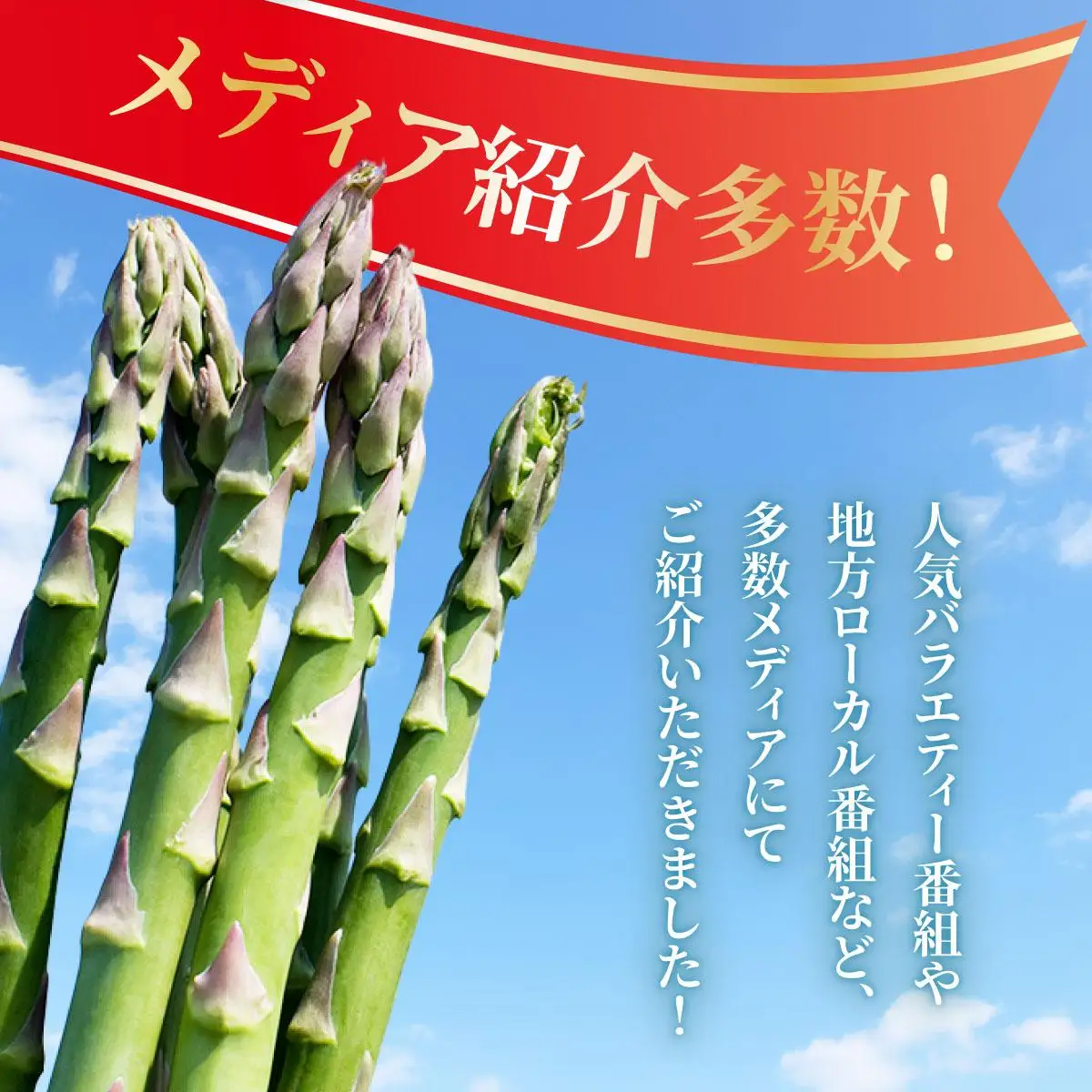 アスパラガス 1kg （6月下旬より発送）