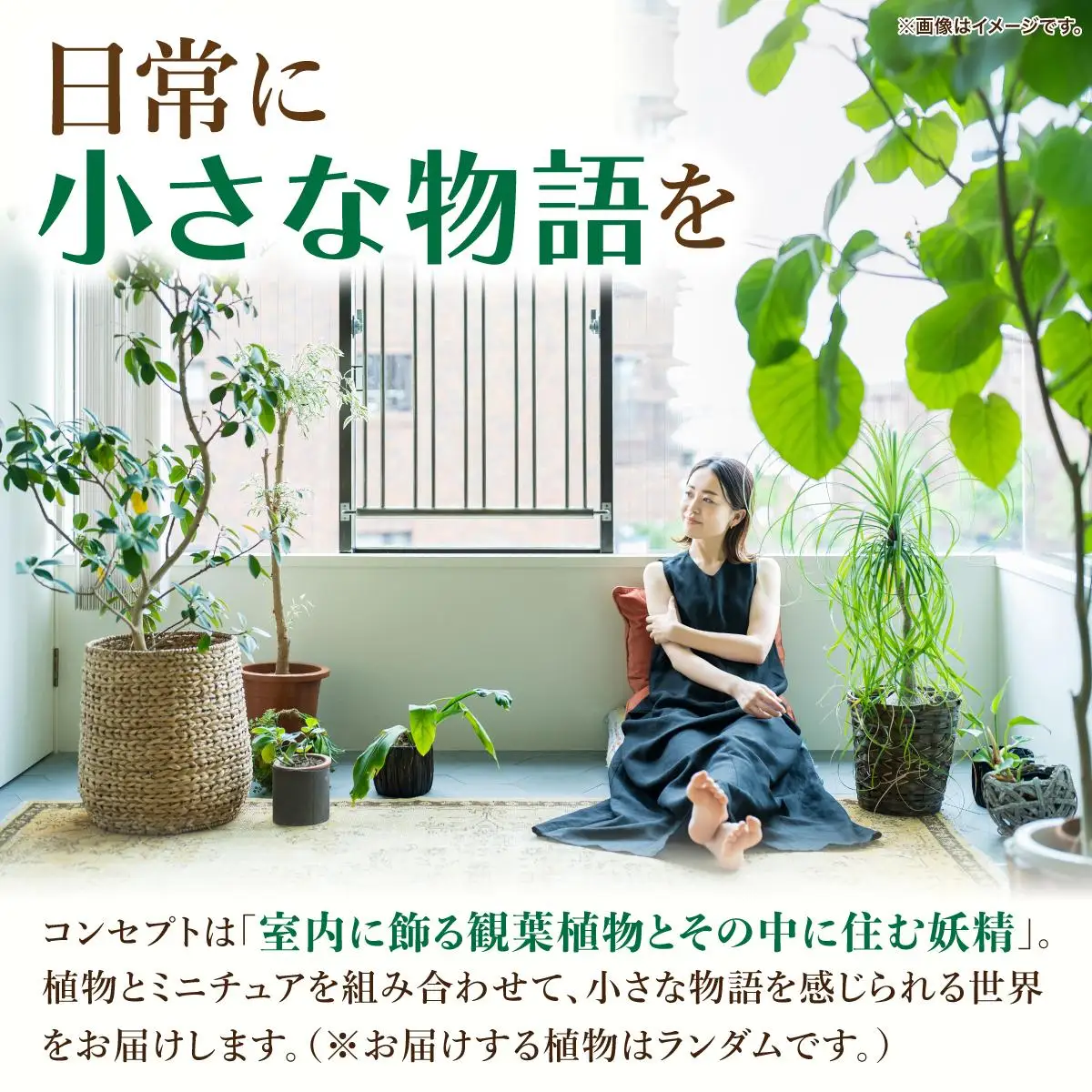 森の中のケロニスと小鳥【フラワーデザイン アドニス】