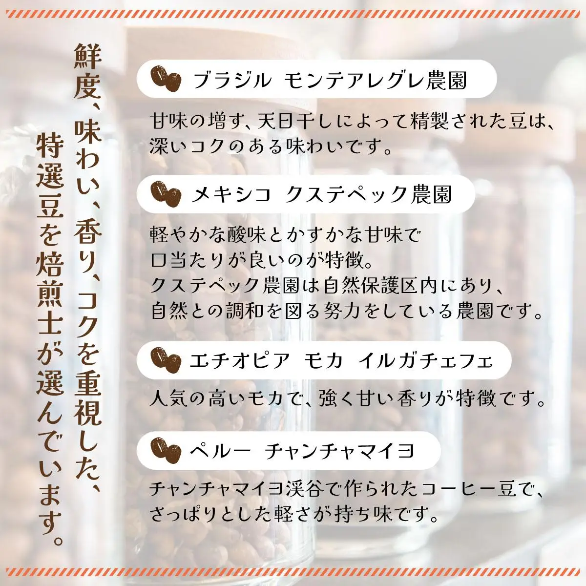 ＜定期便・全12回＞申込後に自家焙煎！魅惑のスペシャルティ コーヒー 4種セット【粉】1kg