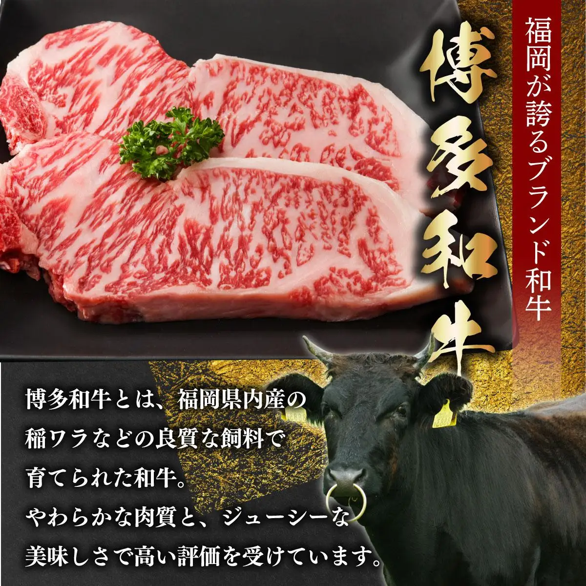 博多和牛 イチボブロック 約500g