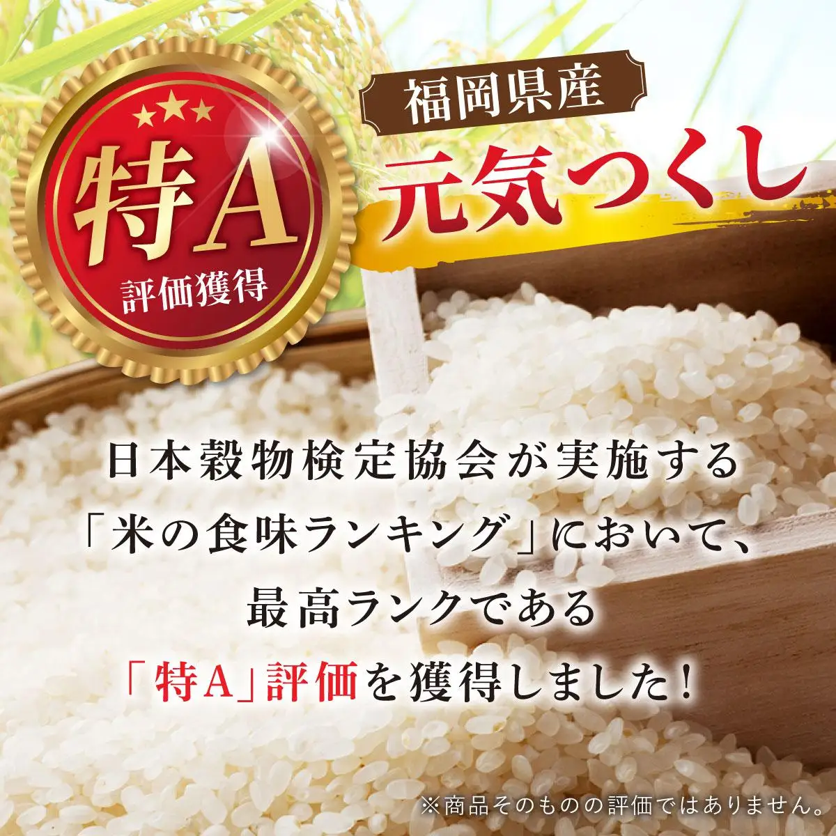 元気つくし 白米10kg