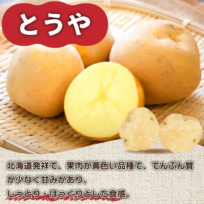 ＜先行予約＞北海道産 じゃがいも(とうや) 約10kg【hjf-004】