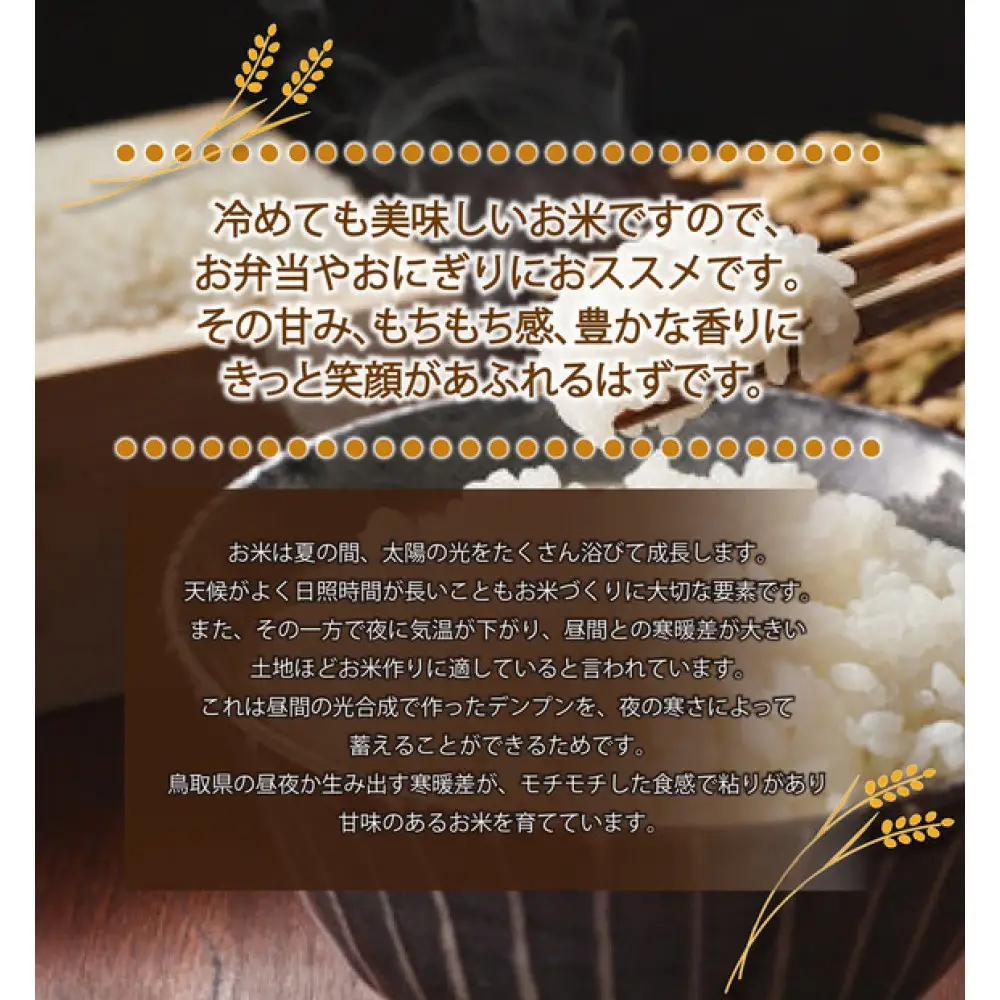 令和7年産　山崎農園こしひかり　無洗米10kg