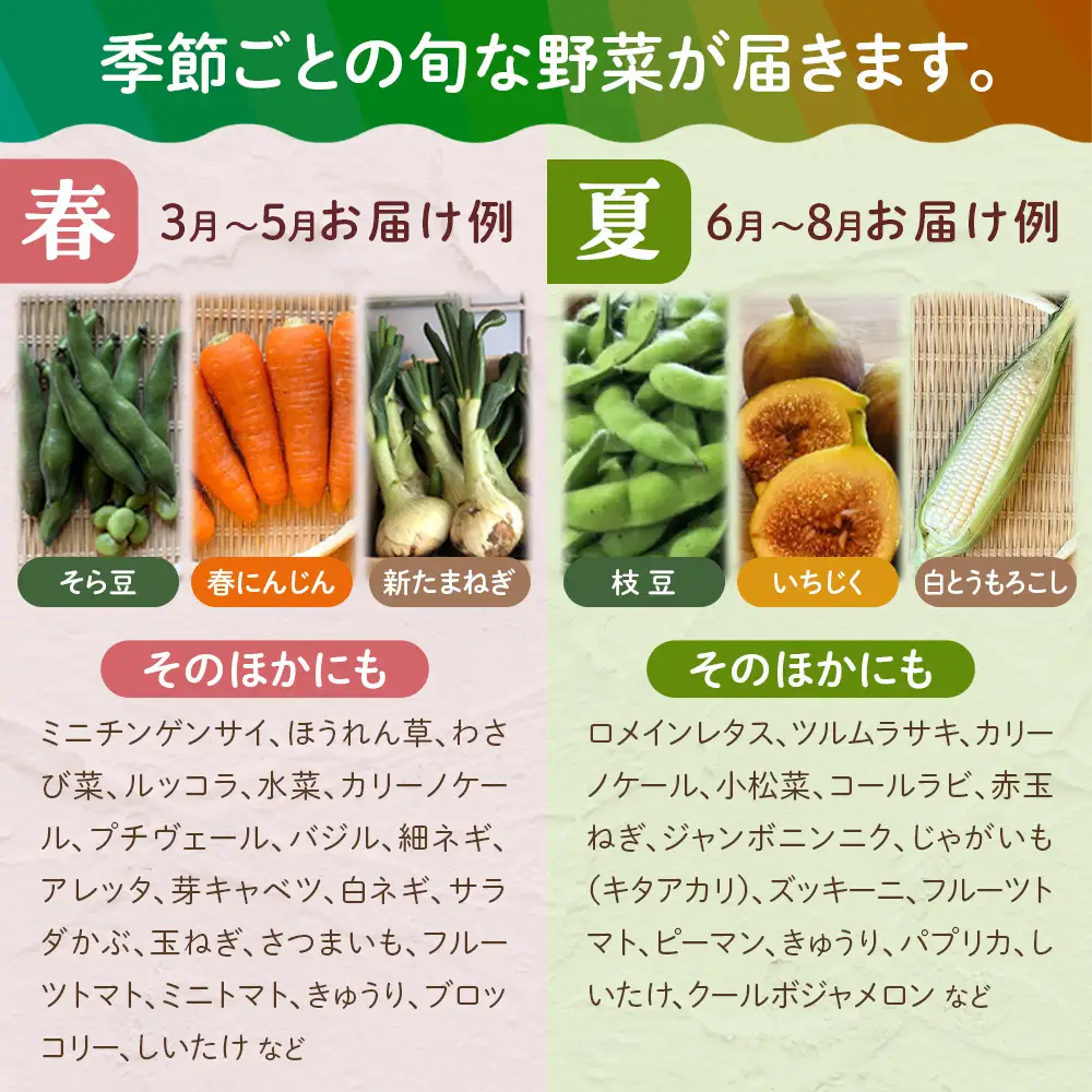 【全5回定期便】野菜セット 旬の野菜 （9~10種類)