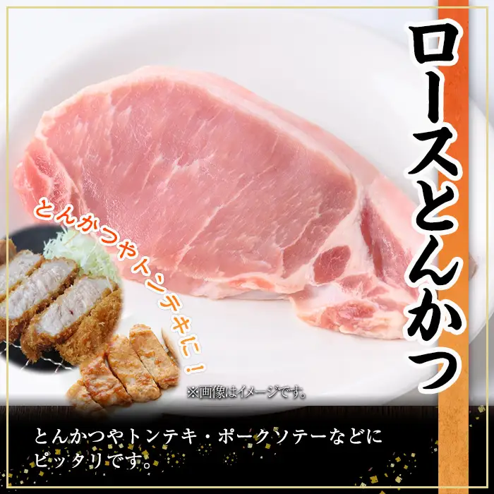 鹿児島県産 豚肉 ロース とんかつ (計2kg・100g×20P) 【株式会社羽根】A1082