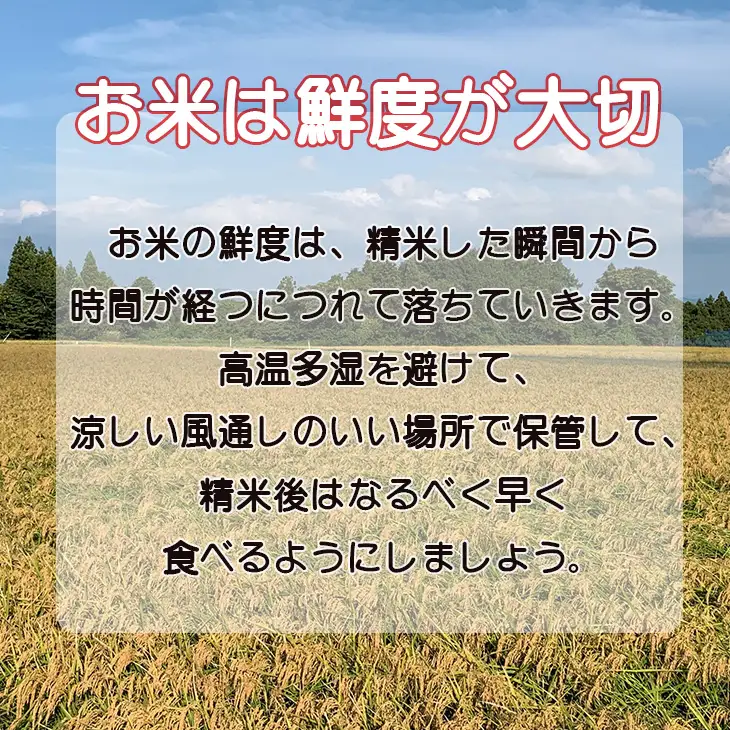 令和7年産 花巻産 銀河のしずく 10㎏【2370】