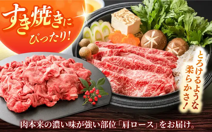 しまね和牛 肩ロース500ｇ（スライス）和牛 牛肉 赤身 焼肉 スライス / 島根県雲南市 / フジキコーポーレーション株式会社[AIEA002]