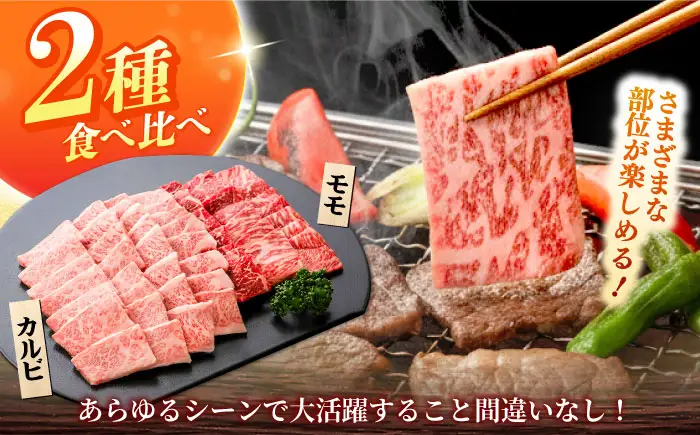 しまね和牛 2種の焼肉セット（カルビ400ｇ/モモ400ｇ）和牛 牛肉 赤身 焼肉 セット / 島根県雲南市 / フジキコーポーレーション株式会社[AIEA007]