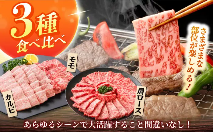 しまね和牛 3種の焼肉セット（カルビ400ｇ/モモ400ｇ/肩ロース400g）和牛 牛肉 赤身 焼肉 セット / 島根県雲南市 / フジキコーポーレーション株式会社[AIEA008]