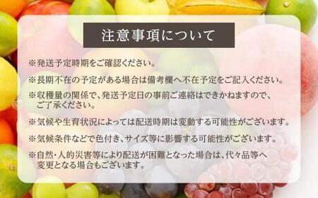 7月下旬～8月中旬 飛騨桃 約2.7kg（9～11個）| 桃 山本果樹園 MA013