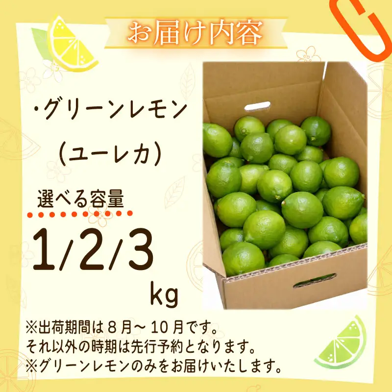 【農林水産大臣賞  先行予約 国産 レモン】 グリーンレモン 1kg 大関農園  静岡県 牧之原市
