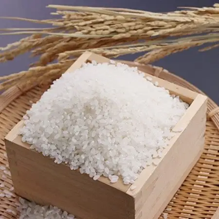 【限定100袋!】サキホコレ特別栽培精米5kg【配送不可地域：離島・沖縄県】【1730811】