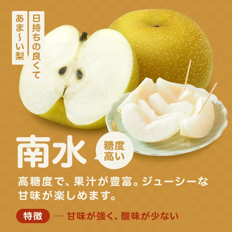 梨 ナシ 信州 上伊那産 贈答用 南水 約4kg (8～12玉) 長野県 伊那市 【017-28】