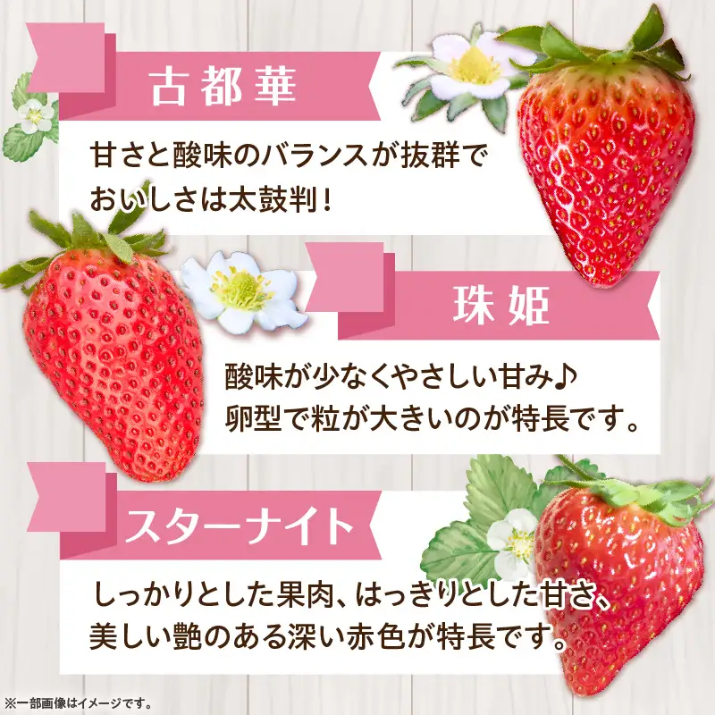 【2027年1月～2027年3月上旬発送】「奈良県産いちご3種セット」化粧箱入りいちご 食べ比べ いちご イチゴ 苺 古都華 珠姫 スターナイト 化粧箱 生駒いちご園 果物 フルーツ デザート 贈り物 お取り寄せ お取り寄せフルーツ 奈良県 生駒市 送料無料
